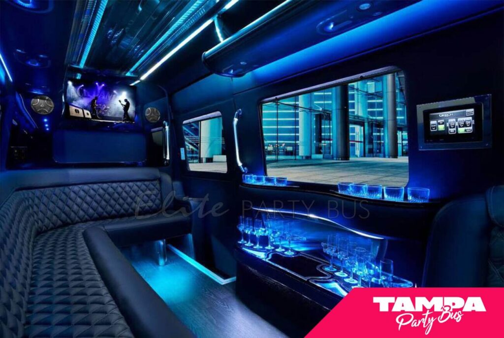 EXECUTIVE MINI PARTY BUS 16 Passengers